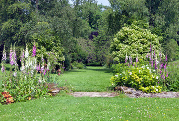 Colourful foxglove flowers, white roses, shrubs and leafy trees along a grass walking path in a charming garden in an English countryside . © Yols