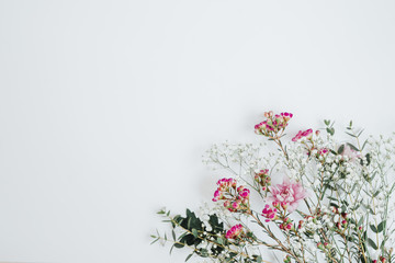 Beautiful floral background with flowers. Concept photo