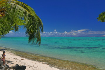 Fototapeta na wymiar lagon de moorea polynesie