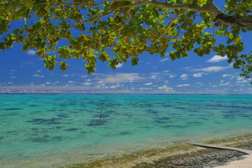 Fototapeta na wymiar lagon de moorea polynesie française