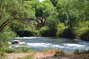Riachuelo con arboles