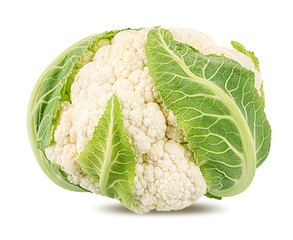 Fresh cauliflower isolated on white background with clipping path