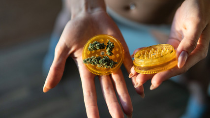 marijuana buds in woman hands close-up.