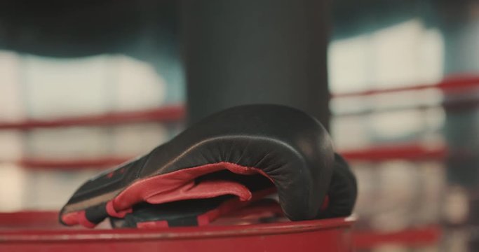 Boxing gloves laying in ring