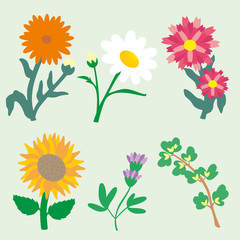 Conjunto de flores y plantas. Ilustración - Vector