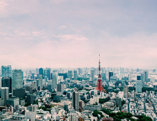 Naklejka premium Pejzaż Tokio pod pięknym czystym niebem: Tokio, Japonia