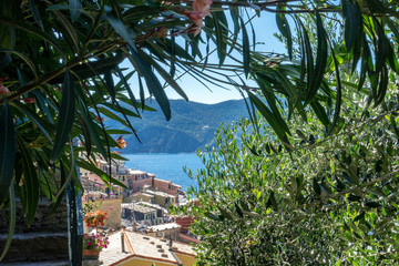 Fototapeta na wymiar Italy, Cinque Terre, Vernazza, a group of palm trees next to a tree