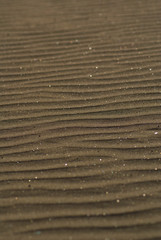 Las huellas de la arena 