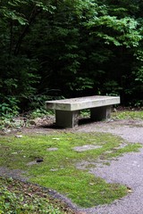 Bench in park
