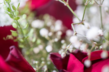Romantischer Blumenstrauss Makro Valentinstag Nahaufnahme