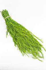 Senegalia pennata or Acacia pennata isolated on white background