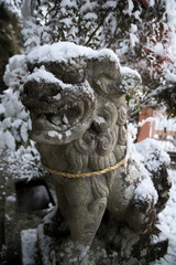 Fototapeta na wymiar 雪の積もった狛犬 (20190127)