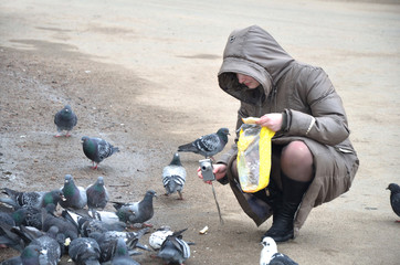 Fototapeta na wymiar young woman in the Park feeds the pigeons and shoots them on a small camera