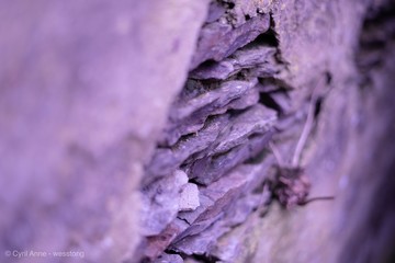 Pierre violette © Wesstong