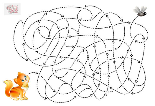 Logic puzzle game with labyrinth for children and adults. Help the kitten find the way till the fly. Printable page for brainteaser book. Vector cartoon image.