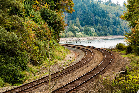 Curve in the Tracks