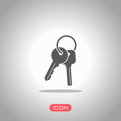 keys on the ring icon. Icon under spotlight. Gray background