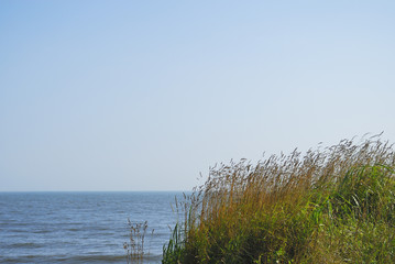 草　海　空　素材