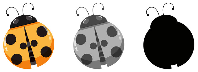 Set of ladybug character