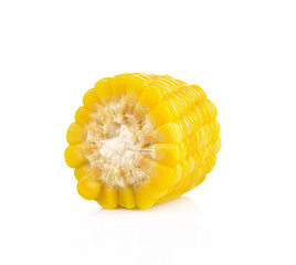 Corn on a white background
