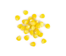 Corn on a white background
