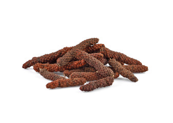 Long pepper or Piper longum isolated on white background