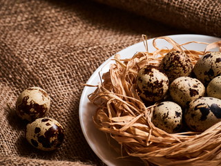 Obraz premium Happy Easter. Congratulations Easter background. Easter eggs and flowers