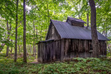 Fototapeta na wymiar Sugar shack in a maple grove in summer, Quebec