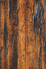 Damaged Wood Floor Background