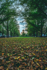 Obraz premium Harvest in Rotterdam