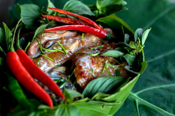 Raw fish wrapped in banana leaves.