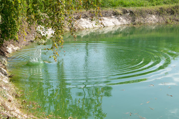 Ondas en el agua