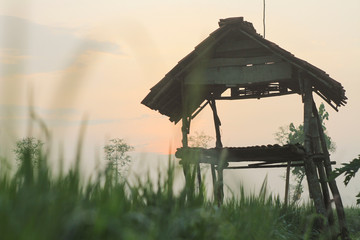 huts in the rice fields one morning