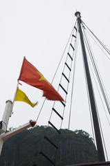 Vietnam Flag - Ha Long Bay