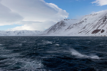 The Wilds of Svalbard in the Arctic