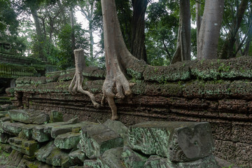 Angkor wat in Cambodia