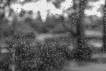 Rainy day at the park