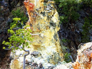 Textures of Yellowstone