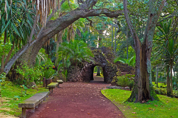 Alley with stone benches in Ponta Delgada city park, Sao Miguel, Azores, Portugal. Large mossy trees and stone grotto in the park.