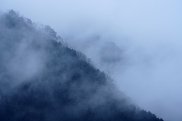 drizzle in mountain area in Japan