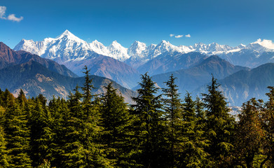 Himalaya Panchchuli range snow peaks with pine trees and scenic landscape view at Munsiyari Uttarakhand.