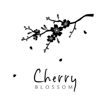 11 916 Best Cherry Blossom Silhouette Images Stock Photos Vectors Adobe Stock