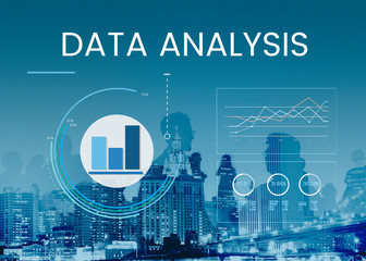 Business data analysis