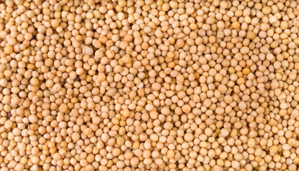 white mustard background. Natural seasoning texture. Natural spices and food ingredients.