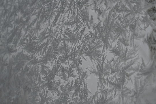 Ice on a Window in the Winter