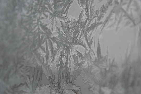 Ice on a Window in the Winter