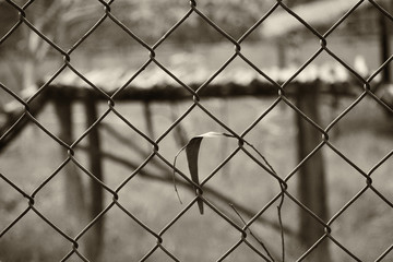 Fototapeta premium an abstract black and white back ground image of an ironed fence