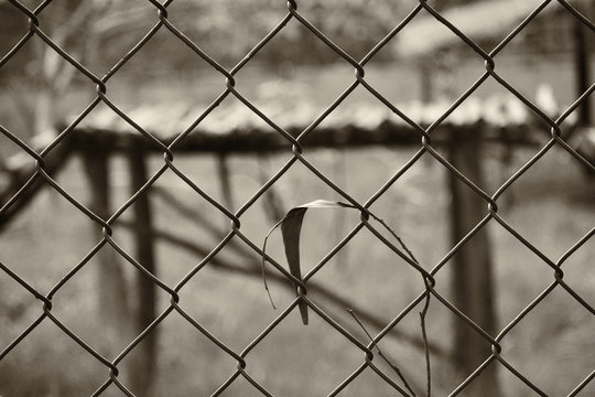 an abstract black and white back ground image of an ironed fence