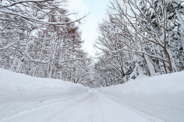 【青森八甲田】厳冬期の八甲田山中の道路