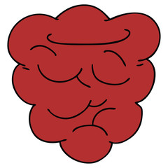 quirky hand drawn cartoon raspberry